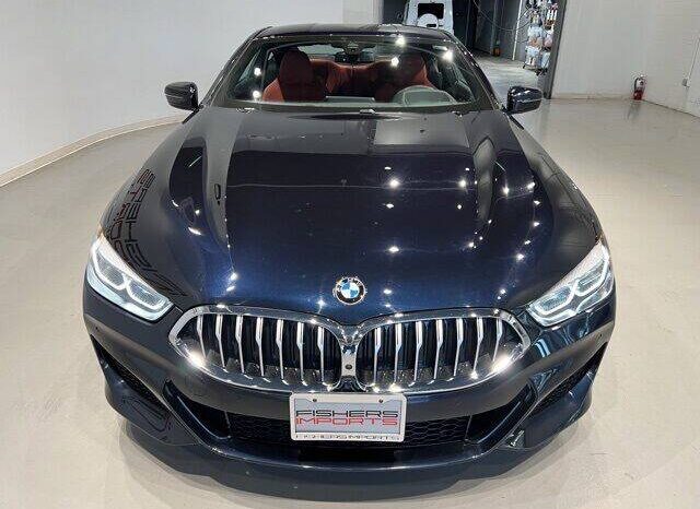 2020 BMW 8 Series full